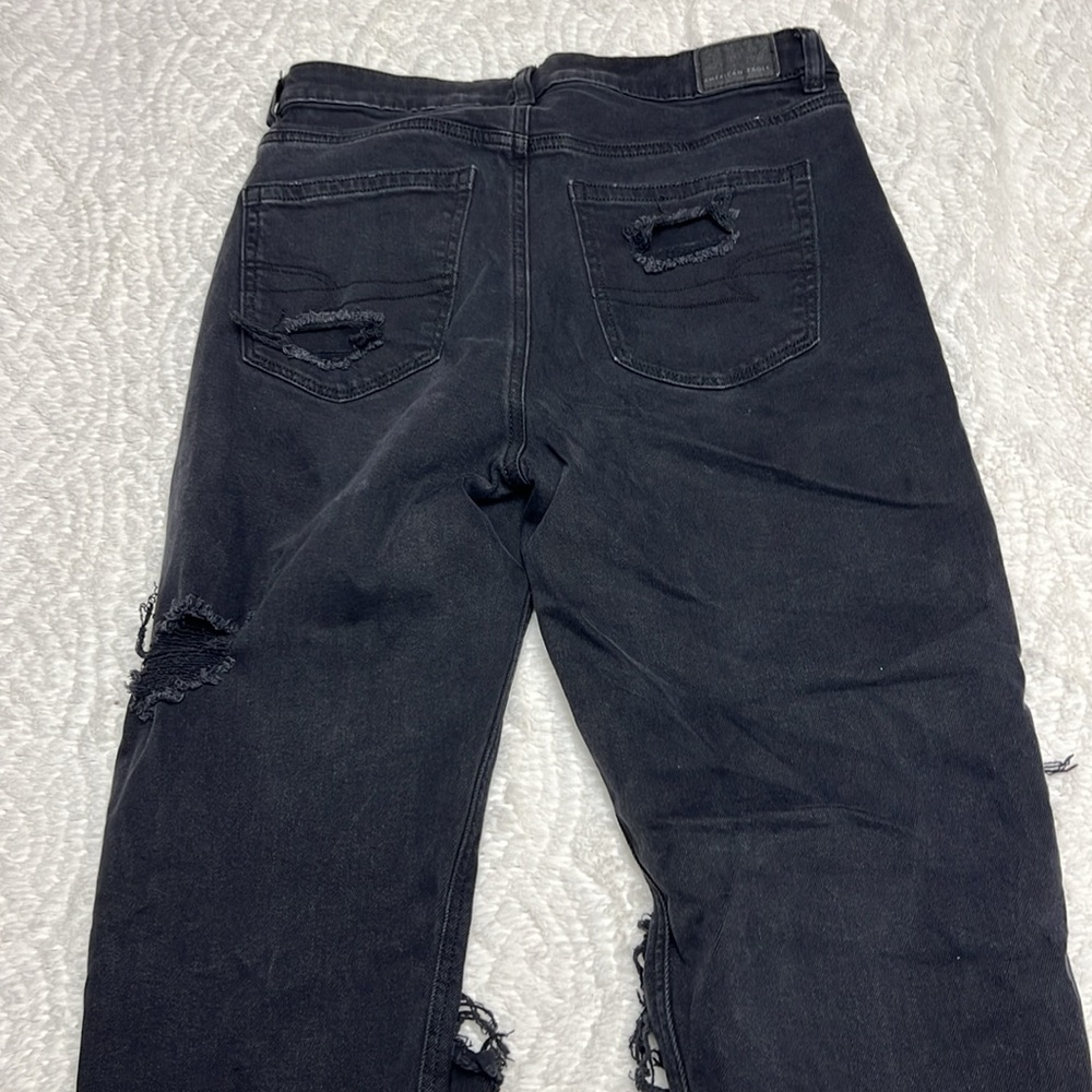 American eagle - Picture 2 of 2